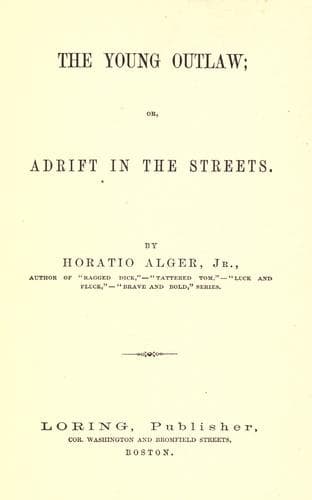 The young outlaw, or, Adrift in the streets