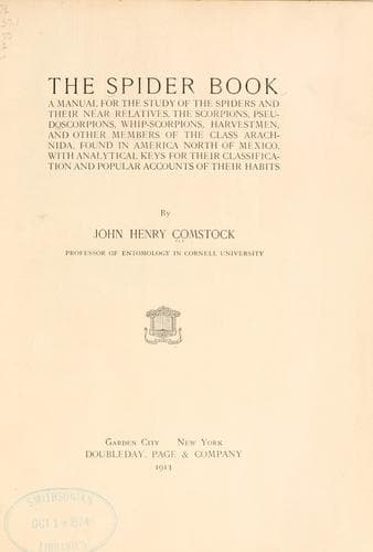The spider book