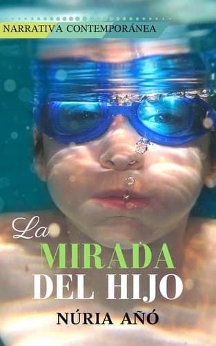 Book cover for La mirada del hijo by Núria Añó